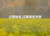 过期域名,过期域名列表
