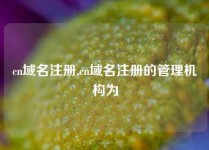 cn域名注册,cn域名注册的管理机构为