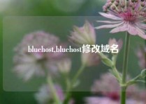 bluehost,bluehost修改域名
