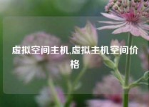 虚拟空间主机,虚拟主机空间价格