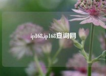 ip168,ip168查询网