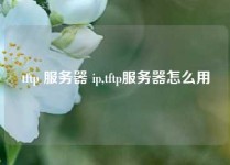 tftp 服务器 ip,tftp服务器怎么用
