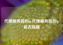 代理服务器的ip,代理服务器的ip能否隐藏