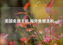 美国免费主机,海外免费主机cn2
