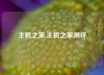 主机之家,主机之家测评