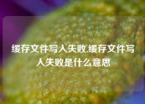 缓存文件写入失败,缓存文件写入失败是什么意思