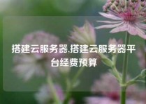 搭建云服务器,搭建云服务器平台经费预算