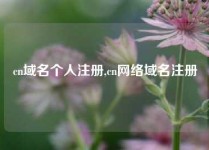 cn域名个人注册,cn网络域名注册