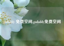 godaddy 免费空间,godaddy免费空间