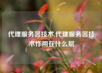 代理服务器技术,代理服务器技术作用在什么层