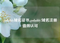 godaddy域名证书,godaddy!域名注册值得认可
