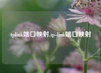 tplink端口映射,tp-link端口映射
