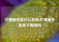 代理服务器什么意思,代理服务器是干嘛用的