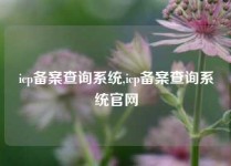 icp备案查询系统,icp备案查询系统官网