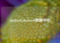 sharktech,sharktech数据中心