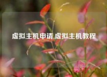 虚拟主机申请,虚拟主机教程