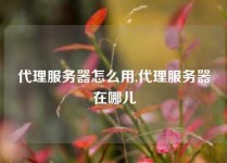 代理服务器怎么用,代理服务器在哪儿