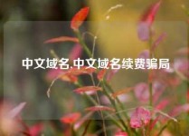 中文域名,中文域名续费骗局