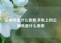 云服务是什么意思,手机上的云服务是什么意思