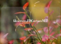 fdcservers,FDCserversNET