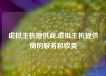 虚拟主机提供商,虚拟主机提供商的服务和收费