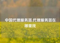 中国代理服务器,代理服务器在哪里找