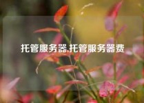 托管服务器,托管服务器费甿