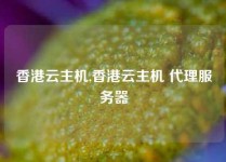 香港云主机,香港云主机 代理服务器
