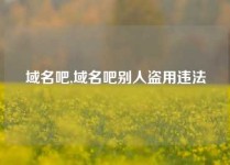 域名吧,域名吧别人盗用违法