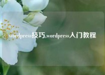 wordpress技巧,wordpress入门教程