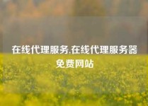 在线代理服务,在线代理服务器免费网站