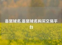 备案域名,备案域名购买交易平台