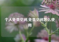 个人免费空间,免费空间怎么使用
