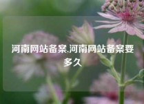 河南网站备案,河南网站备案要多久