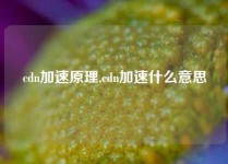 cdn加速原理,cdn加速什么意思