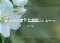 bad gateway是什么意思,bad gateway error