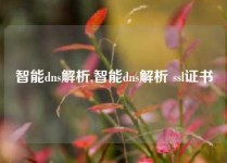 智能dns解析,智能dns解析 ssl证书