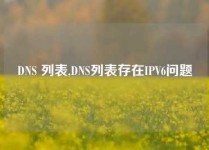 DNS 列表,DNS列表存在IPV6问题