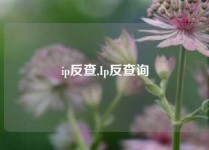 ip反查,Ip反查询