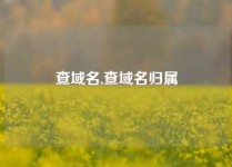 查域名,查域名归属