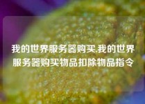 我的世界服务器购买,我的世界服务器购买物品扣除物品指令
