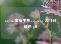 asp net虚拟主机,asp net 4 入门到精通 pdf