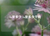 1u是多少,1u是多少千克
