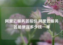 阿里云服务器报价,阿里云服务器最便宜多少钱一年