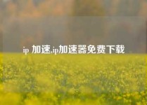 ip 加速,ip加速器免费下载
