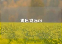 锐速,锐速800