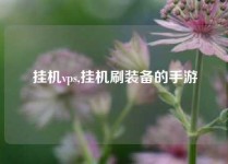 挂机vps,挂机刷装备的手游