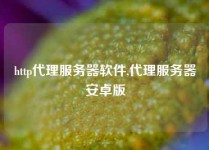 http代理服务器软件,代理服务器安卓版
