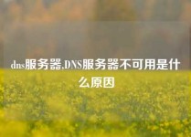 dns服务器,DNS服务器不可用是什么原因