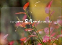 wordpress 空间,wordpress site